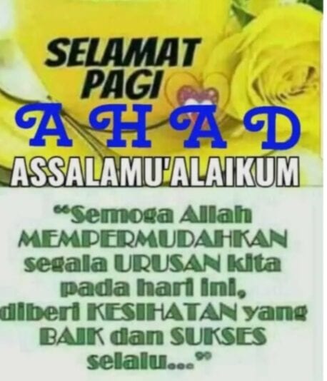 Screenshot_20250622_081927_Opera Mini