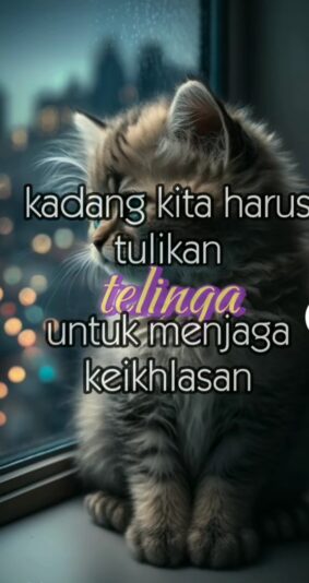 WhatsApp Image 2025-06-26 at 21.39.04_c36122b3