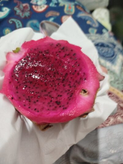 17509484564653282443370753845968