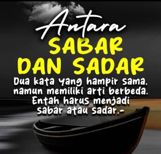 Screenshot_20250626_223309_Gallery