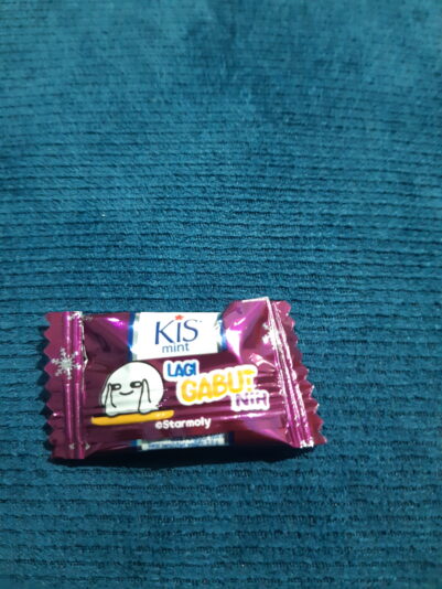 17510289680682105779649338649134