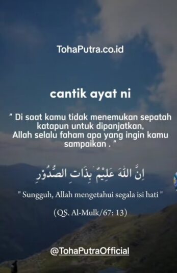 WhatsApp Image 2025-06-24 at 10.50.50