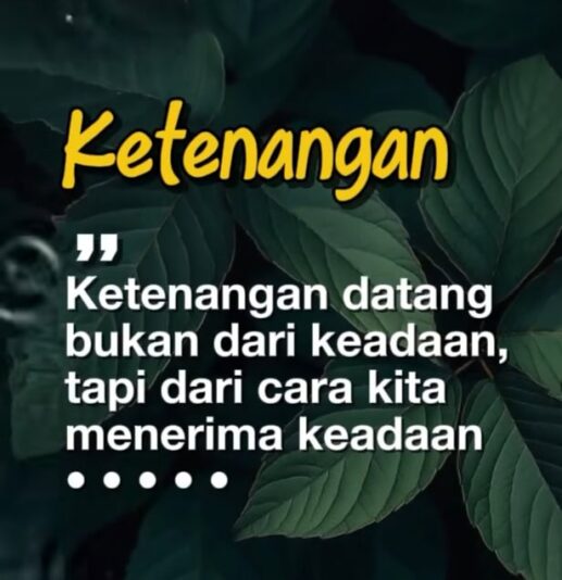 WhatsApp Image 2025-07-01 at 21.11.58_bb007436