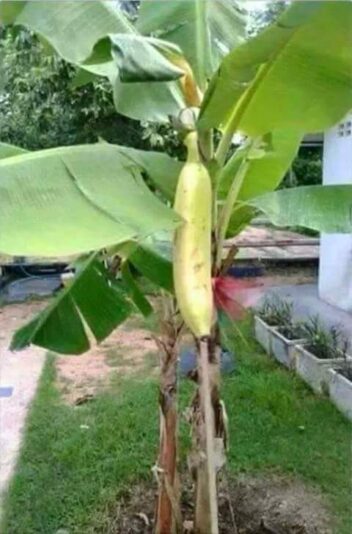 FB_IMG_1439030935120