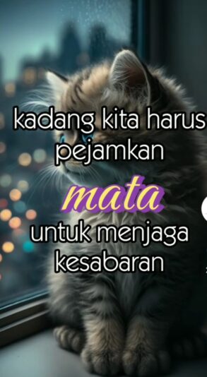 WhatsApp Image 2025-06-26 at 21.39.04_e490594b