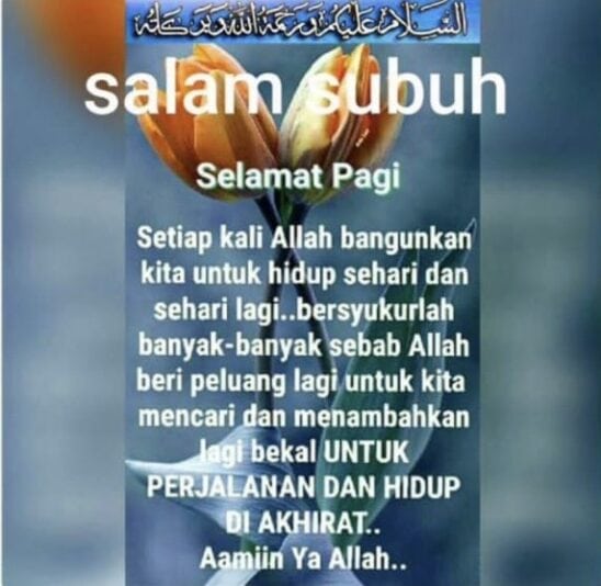 0891af18-3e4e-4259-a7db-a81408dfaab1