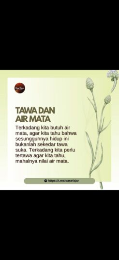 Screenshot_20250901-195208_Gallery