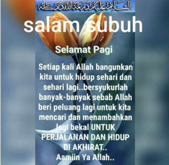 0891af18-3e4e-4259-a7db-a81408dfaab1