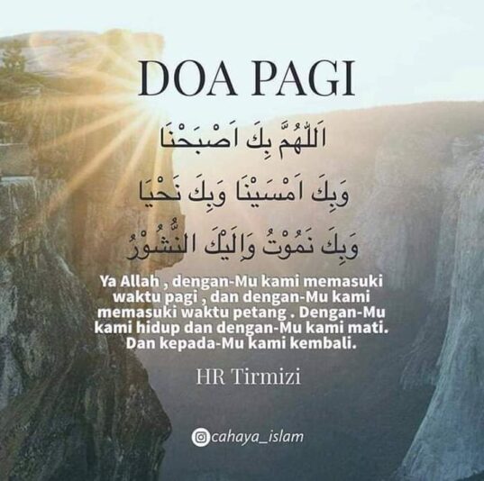 48418311_10156374433239160_5577313242025295872_n