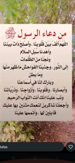 Screenshot_20250914-215700_Gallery