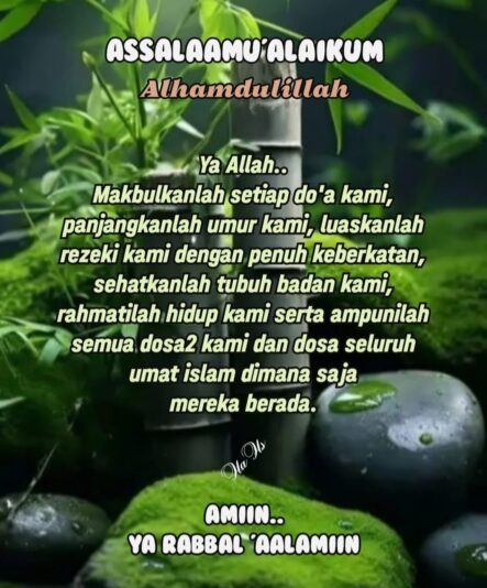 45540bca-3a8a-442f-bcca-6edaf48b5500