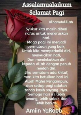 ace35618-a1a5-4f2a-8424-2739ea1ac15e