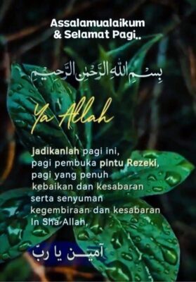 44a2be08-577d-40de-af98-d38734b3b917