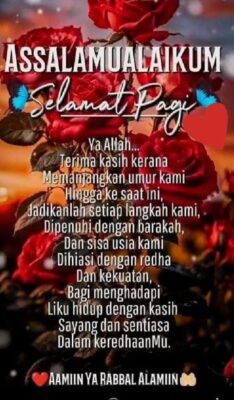 d55db342-2c21-4dfd-a682-2ab634ca077d