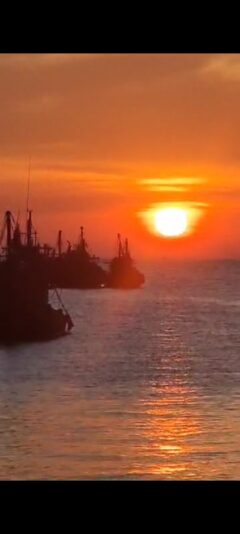 Screenshot_2025-02-03-19-38-33-85