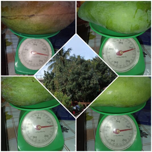 Picsart_25-04-21_19-59-19-018