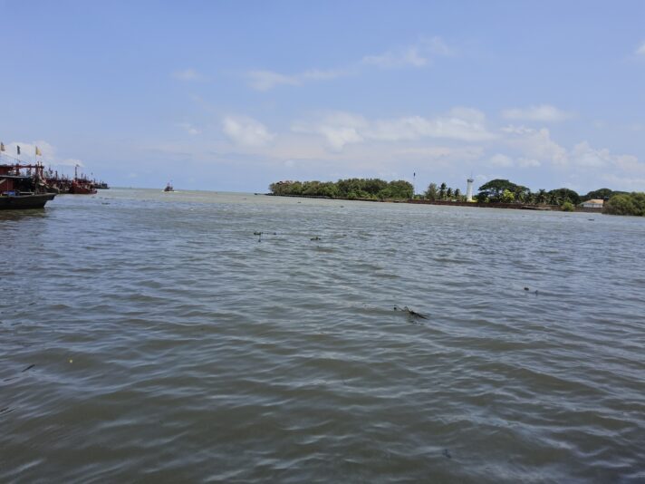 1745816516241686467433862655995