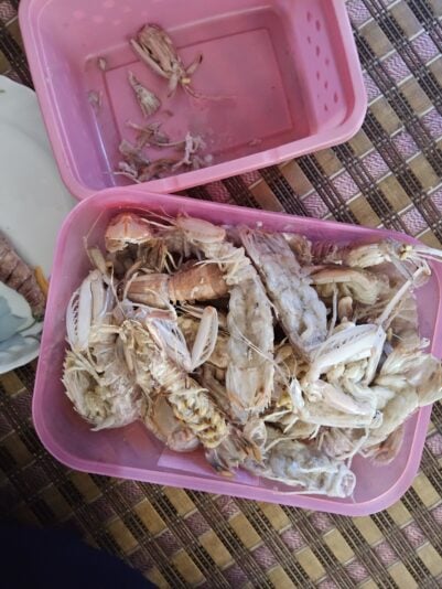 17460631407144047678112471731622