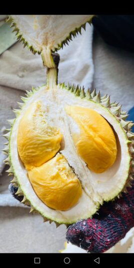 Screenshot_20230821-203050_042136