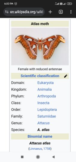 Screenshot_2025-04-24-18-00-37-516_com.android.chrome