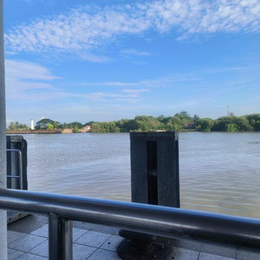 17455421049417830816432297678444