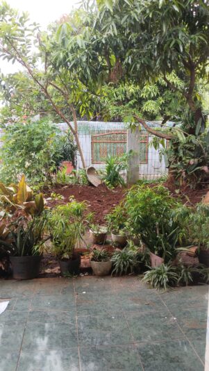 1745654804578261311103527534969