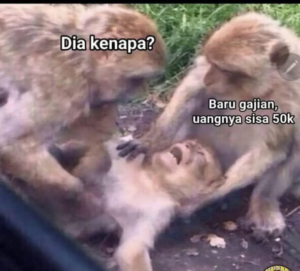 FB_IMG_1736587163883