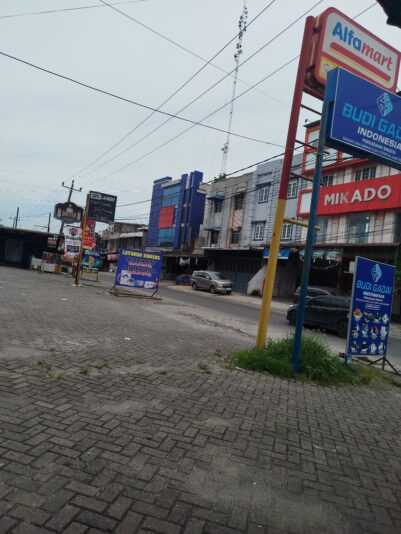 17466724298601301378292456650988