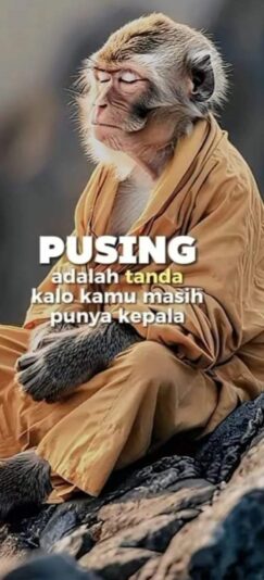 FB_IMG_1724941937491