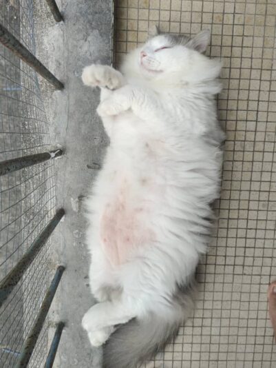 WhatsApp Image 2025-05-04 at 08.44.00