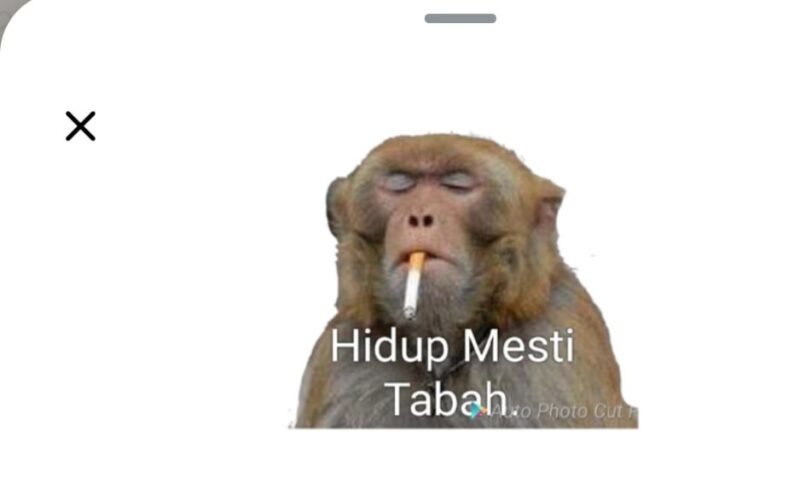 Screenshot_20250517_205414_WhatsApp