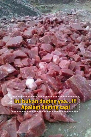 FB_IMG_1733832948610