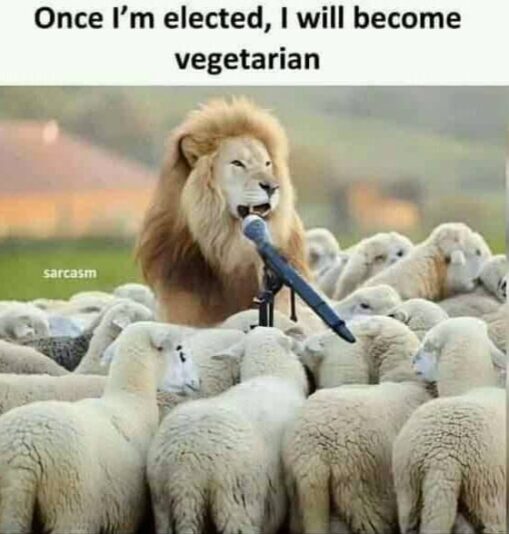 FB_IMG_1739347381427