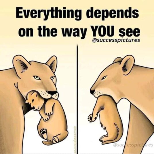 FB_IMG_1688212192700