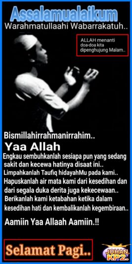 3c469508-d4ab-4f33-835d-bed2f73b8a36