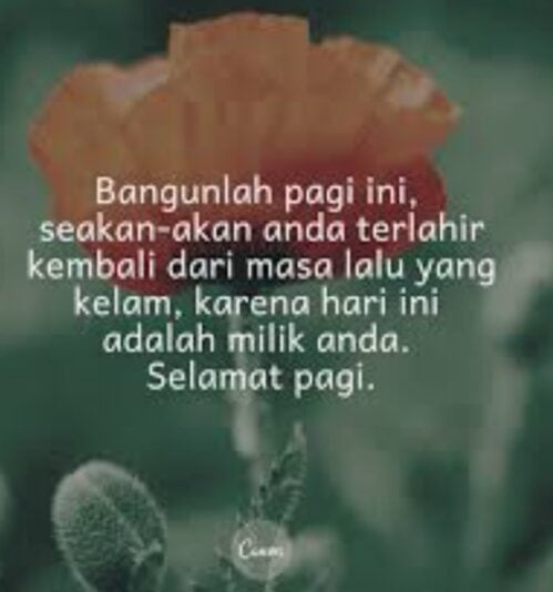 Screenshot_20250526_064329_Opera Mini