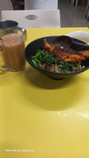 17483952494457134573718264516503