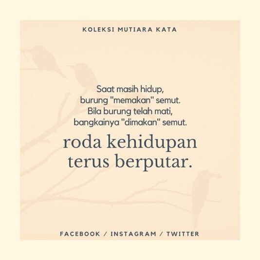 2a27da45018c8cee6a85bbd8f3e8bb1d