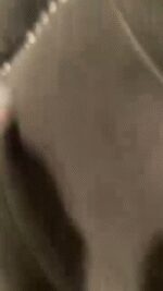 SnapInsta.to_AQNbACb5Lv0vj0BxjjHUlZPIEYDnKaPGNJooMDwuYLhDZlmrToEGvTIrhe5pNwe2skfv_2qLcjw1cILil3Y92llqB7wLUCA3-HN_cVg