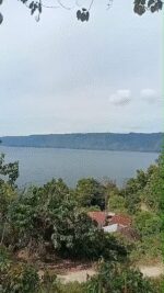 WhatsApp Video 2025-07-22 at 09.29.26