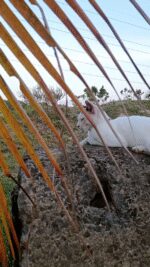 2025-07-29-064756218