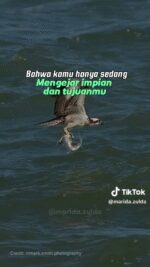 3720e94b15d601a85c5a5a81e375dfd2