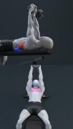 💪 Dumbbell Pullover- Chest or Back Know the Difference!