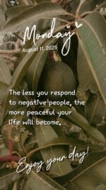 lv_7537065709835242805_20250811113737