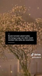 32c3b508595a93deaad5954688e29faa