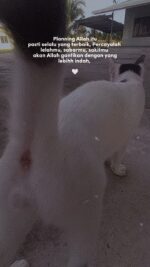 2025-06-12-175436659