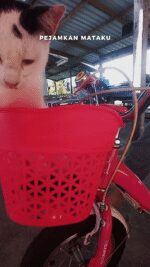 2025-06-14-103553792