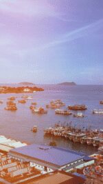 5497733456964d9e865ba79d554fe517