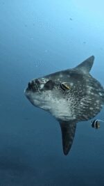 VID_20250617_170953_104