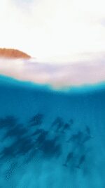 VID_20250622_212947_013